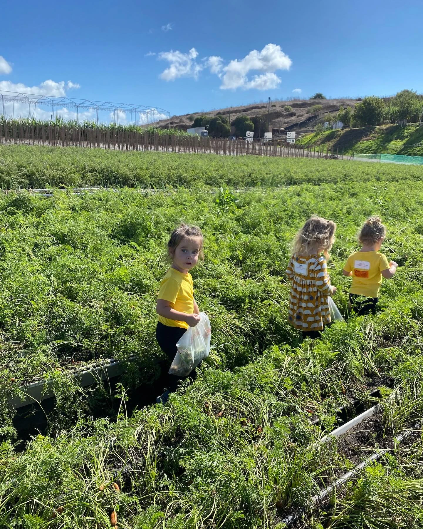 Young Page Academy students exploring a farm field